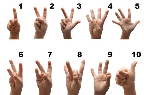 How To Count In Sign Language Sign Station