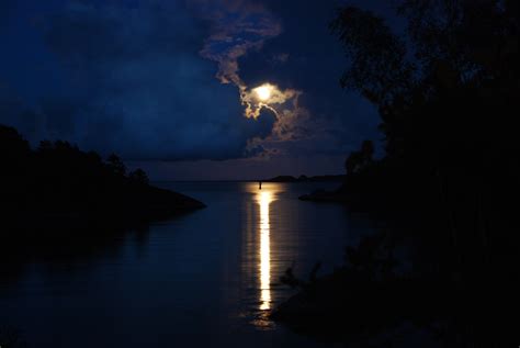 Fileskogsoy Moonlight Wikimedia Commons