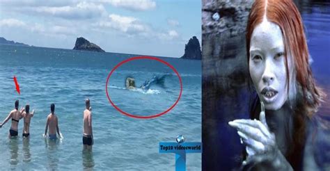 If you want to find out if mermaids are real, and you're looking for proof, you've come to the right place. Top 10 Mermaids Caught On Camera Unbelievable Real Mermaid Sightings Around the World - VIRAL ...