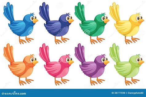 Colorful Birds And Flowers Watercolor Vector Tropic Card Backgrounds