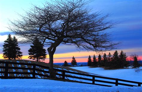 Wallpaper Trees Silhouettes Winter Snow Hills Sunlight Dawn