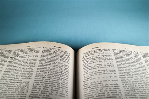 They're all new words that were added to the oxford english dictionary in 2019! Merriam-Webster Adds 850 New Words to Online Dictionary