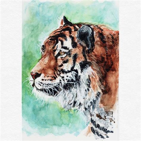 Tigre Aquarelle originale peinture à encadrer félin
