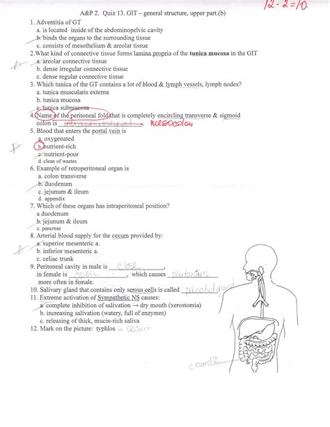 Anatomy And Physiology Printable Quiz