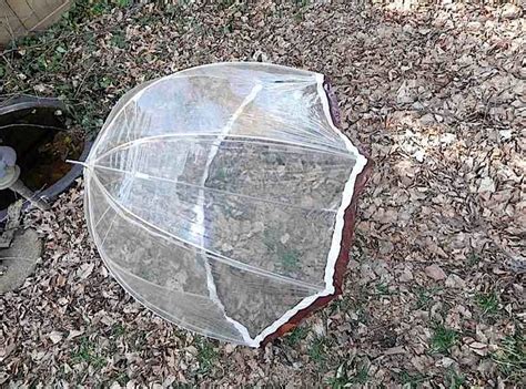 Vintage 60s Mod Clear Bubble Umbrella With Brown And White Etsy