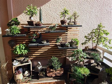 Garden Bonsai Is One Of The Characteristic Of Japanese
