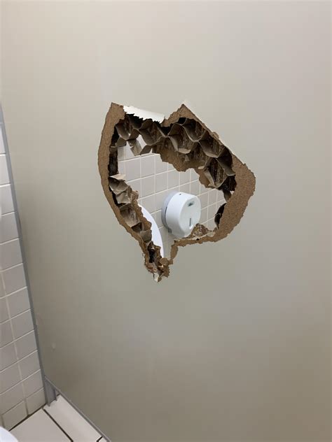 My Schools Bathroom Stall Rmildlyinfuriating