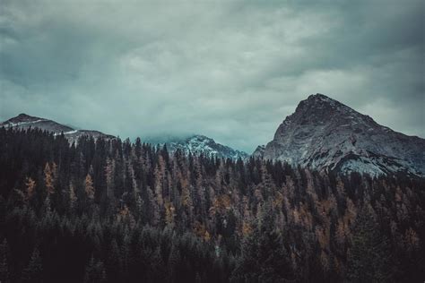 Trees And Mountains 4k Hd Nature 4k Wallpapers Images