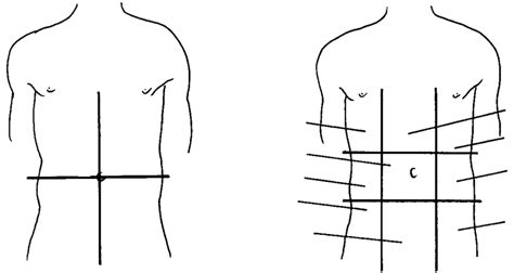 2 Anatomical Areas Of The Abdomen A Quadrants B Segments Download Scientific Diagram