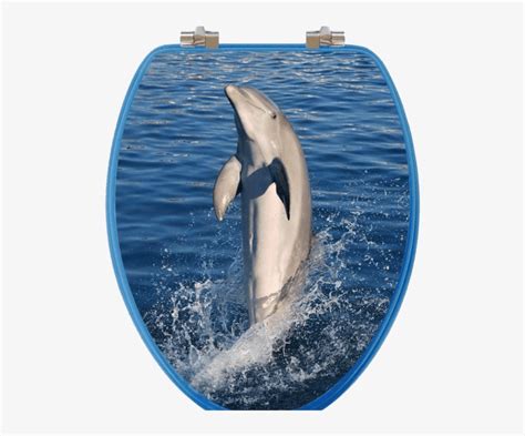 Dolphins Elongated Toilet Seat Topseat 6ts3r8300cp Vario Scenario