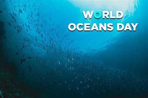 World Oceans Day Theme History And Celebrations Earth Reminder