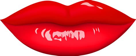 Lips Clipart Beautiful Lip Png Download Full Size Clipart 235777 Pinclipart