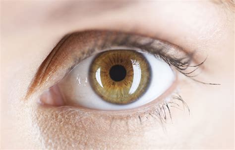 Asegurán Que Tener Ojos Marrones Incrementa Posibilidad De Padecer