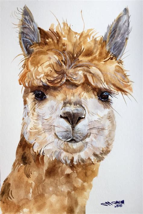 Llama Alpaca Farm Animal Original Watercolor Painting By