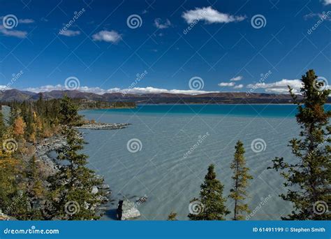 Various Shades Of Blue Green At The Glacier Fed Kluane Lake Stock Image