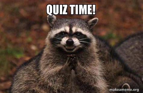 Quiz Time Evil Plotting Raccoon Make A Meme