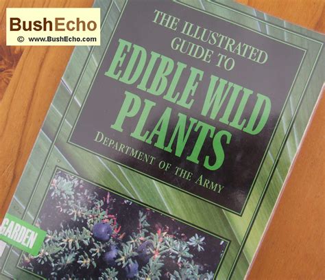 The Illustrated Guide To Edible Wild Plants Archives Bushecho