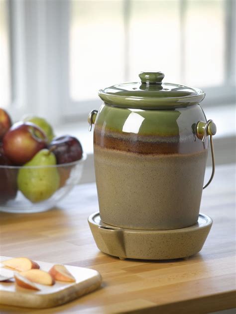 Maybe you would like to learn more about one of these? Fruit Fly Trivet Trap and Compost Crock Kit | Fruit flies ...