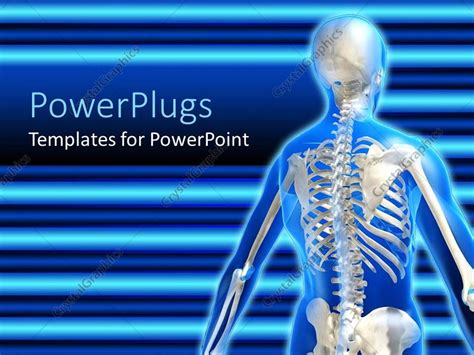Powerpoint Template Anatomy Of The Human Skeletal System On A Blue Background 19975