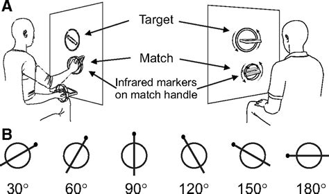 Evidence For Automatic On Line Adjustments Of Hand Orientation During