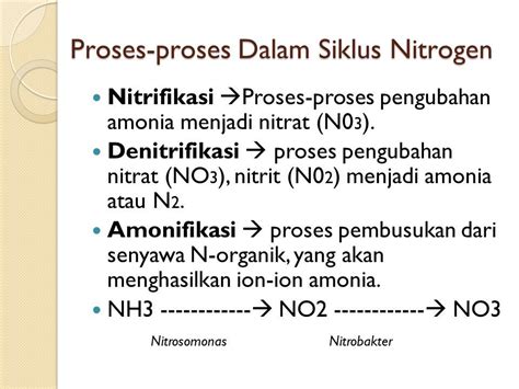 Siklus Nitrogen A Pengertian Nitrogen Nitrogen Merupakan Elemen Yang