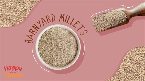 Barnyard Millets Nutrition Uses Health Benefits And More Happytummy