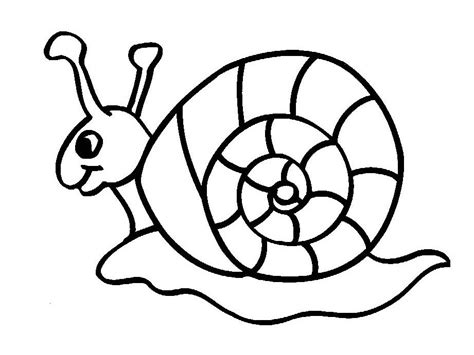 500+ free simple coloring pages for kids. Insect Coloring Pages - Best Coloring Pages For Kids