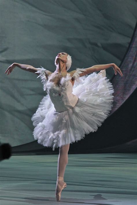 ekaterina shipulina bolshoi ballet the dying swan from… flickr