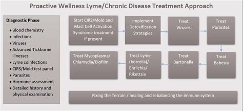Chronic Disease Diagnosis And Treatment Approach Proactive Wellness