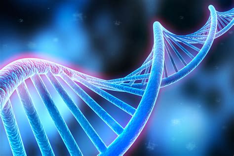 New DNA Sequencing Technique May Help Unravel Genetic Diversity Of Cancer Tumors USC Norris