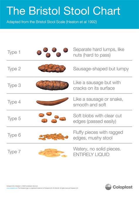 Bristol Stool Chart The Ideal Stools Are Types And Especially Type