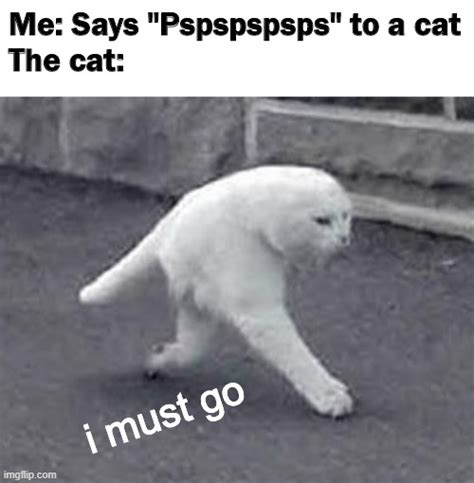 What Happens When You Say Pspspspspspspspsps To A Cat Imgflip
