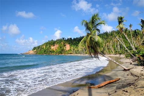 7 best beaches in dominica to visit on the island