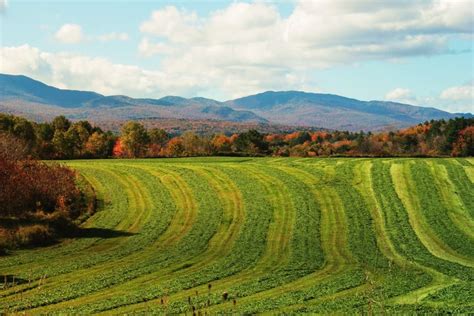 Hyde Park Vt Outdoor Farmland Hyde Park