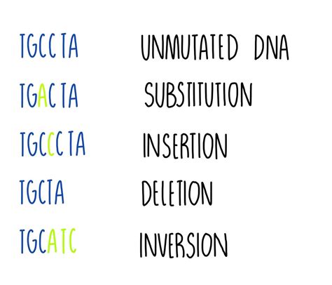 Genetic Mutation Types