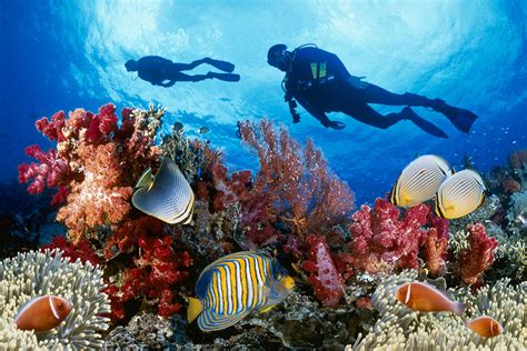 Best Places To Scuba Dive Around The World Dive Sites Worth Visiting