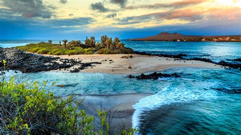The galápagos islands and their surrounding waters form an ecuadorian province, a national park, and a biological marine reserve. Galapagos Islands Attractive Places for Tourism - Gets Ready