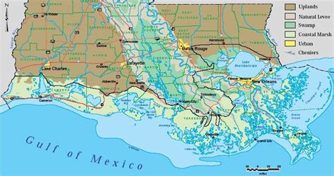 Geography 5 Final Project Ulloa Montes Map Of The Louisiana Wetlands