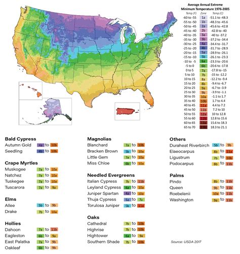 Plant Hardiness Zone Map Cherrylake