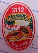 Photos of Papaya Company