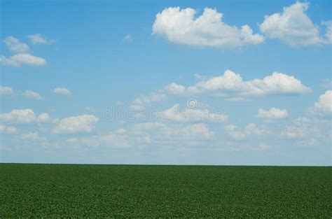 Landscape Background Bright Green Field And Blue Sky With Clouds