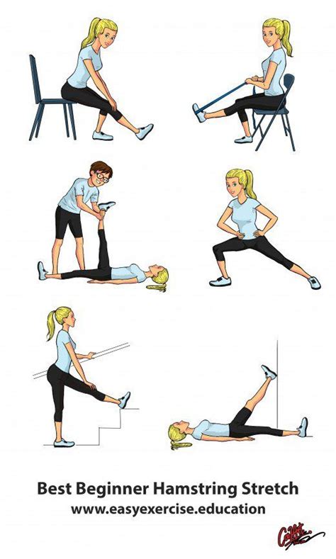 Stretches For Beginners Google Search Best Hamstring Stretches