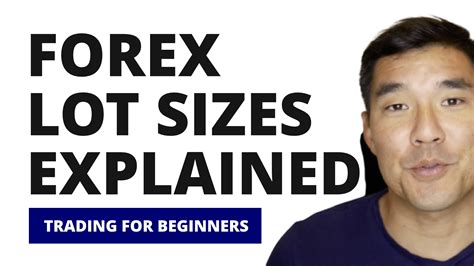 Forex Lot Sizes Explained Complete Beginners Guide Trading Heroes