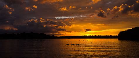 Download Wallpaper 2560x1080 Lake Sunset Ducks Evening Dusk Dual