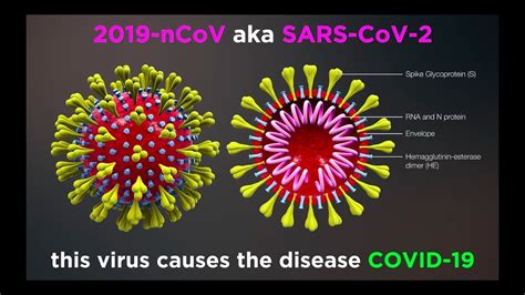 The day is reset after midnight gmt+0. What is COVID-19? (Coronavirus Update) - YouTube