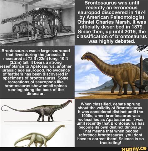 Brontosaurus Was Until Recently An Erroneous Sauropod Discovered In