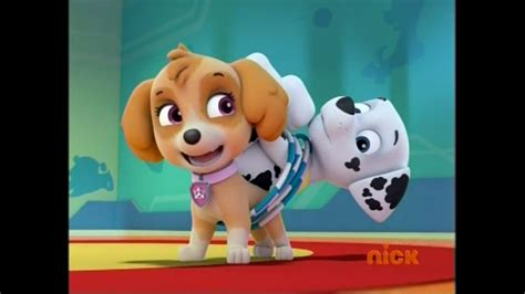 Skyegallerypups Save A Surprise Paw Patrol Wiki Fandom Powered By