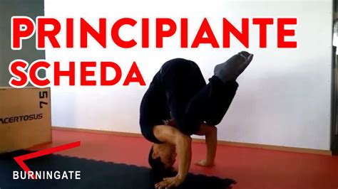 calisthenics principiante scheda