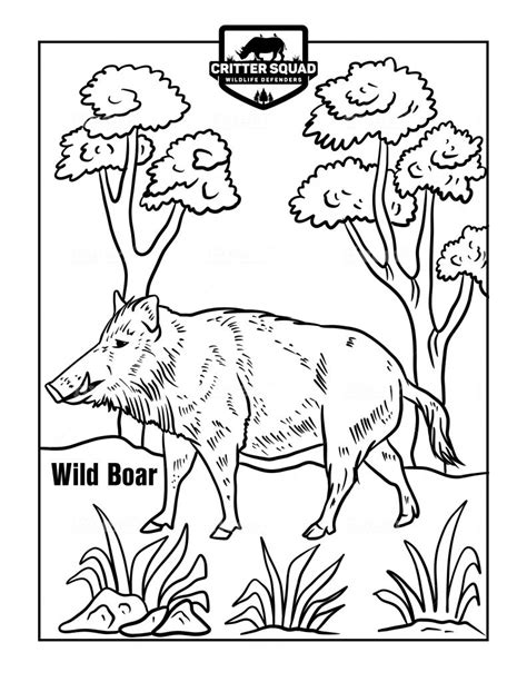 Wild Boar Archives Cswd