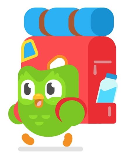 Duolingo used to show your levels on your profile, but now only shows the amount of xp you have. Duolingo: $30 Million Funding And $1.5 Billion Valuation